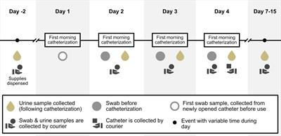 Short-term reuse of catheters is associated with microbiological and structural burden: A prospective pilot case series